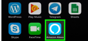 Open the Amazon Alexa app 
